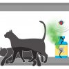 as33 - Paradosso del gatto di Schrödinger